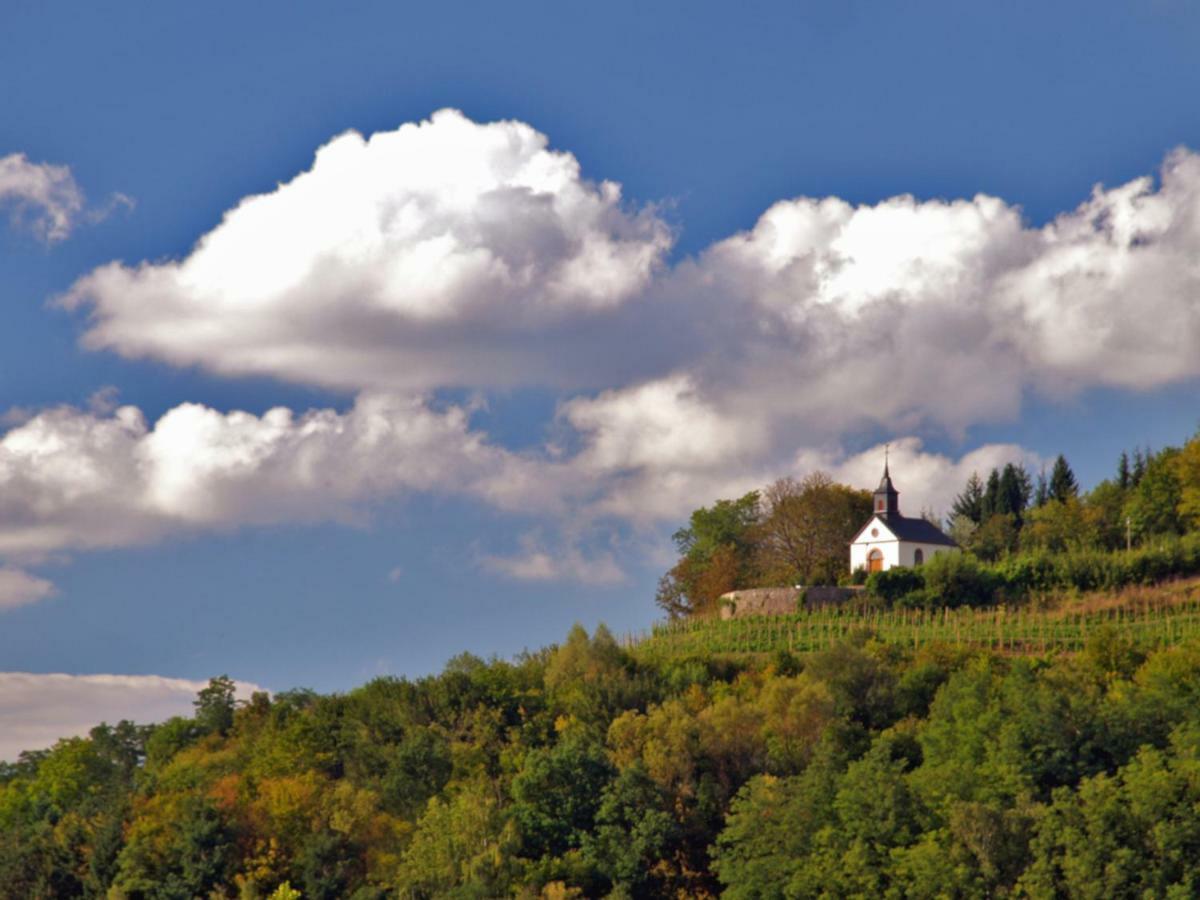 Ferienwohnung Am Gipsberg Merzig Luaran gambar